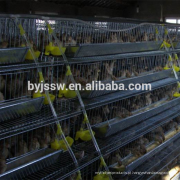 Layer Quail Cages for Sale